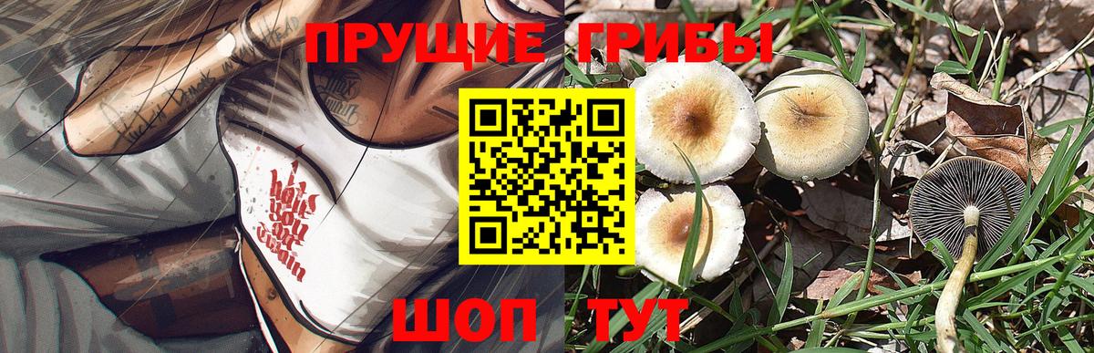 Галлюциногенные грибы ЛСД Калуга